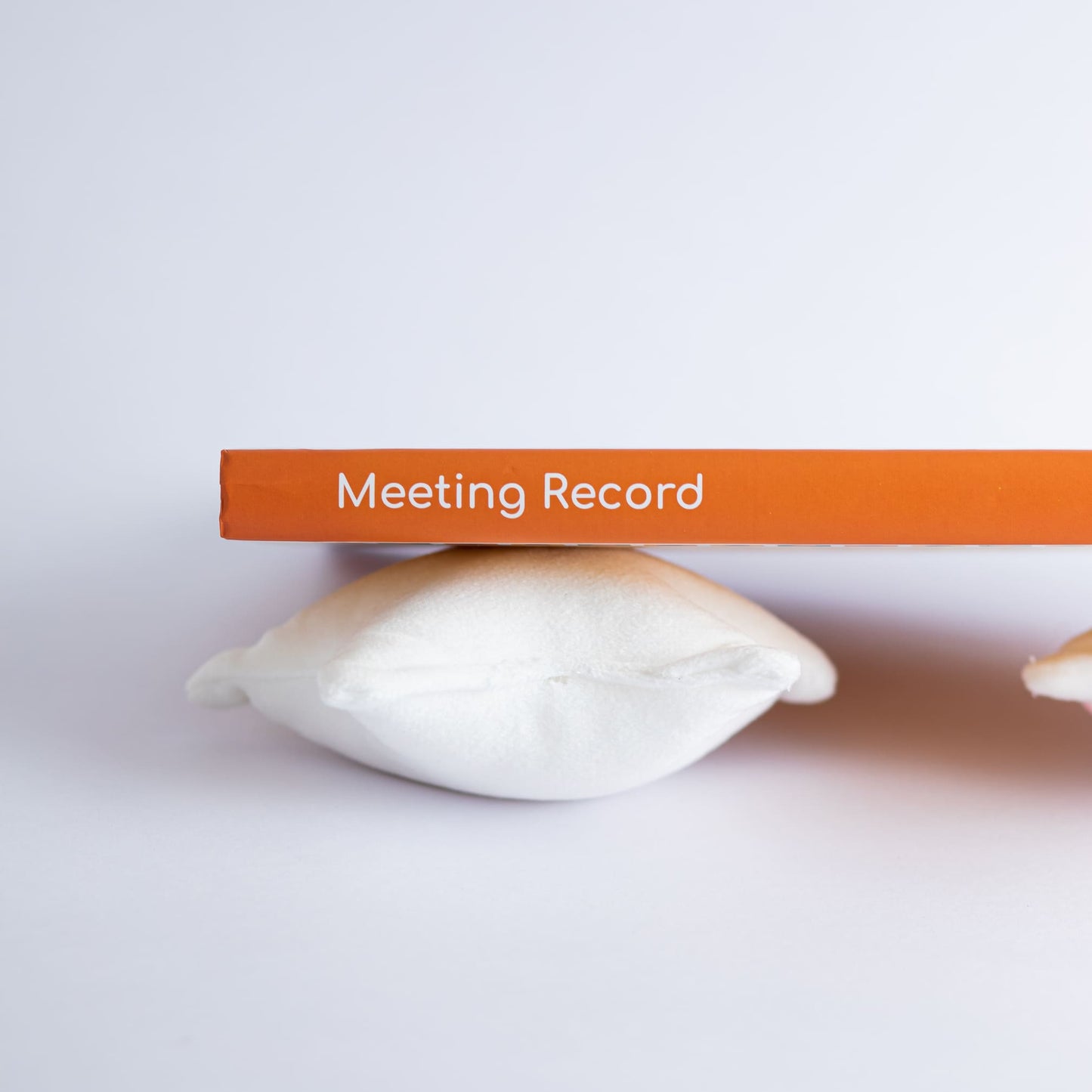 Meeting Record