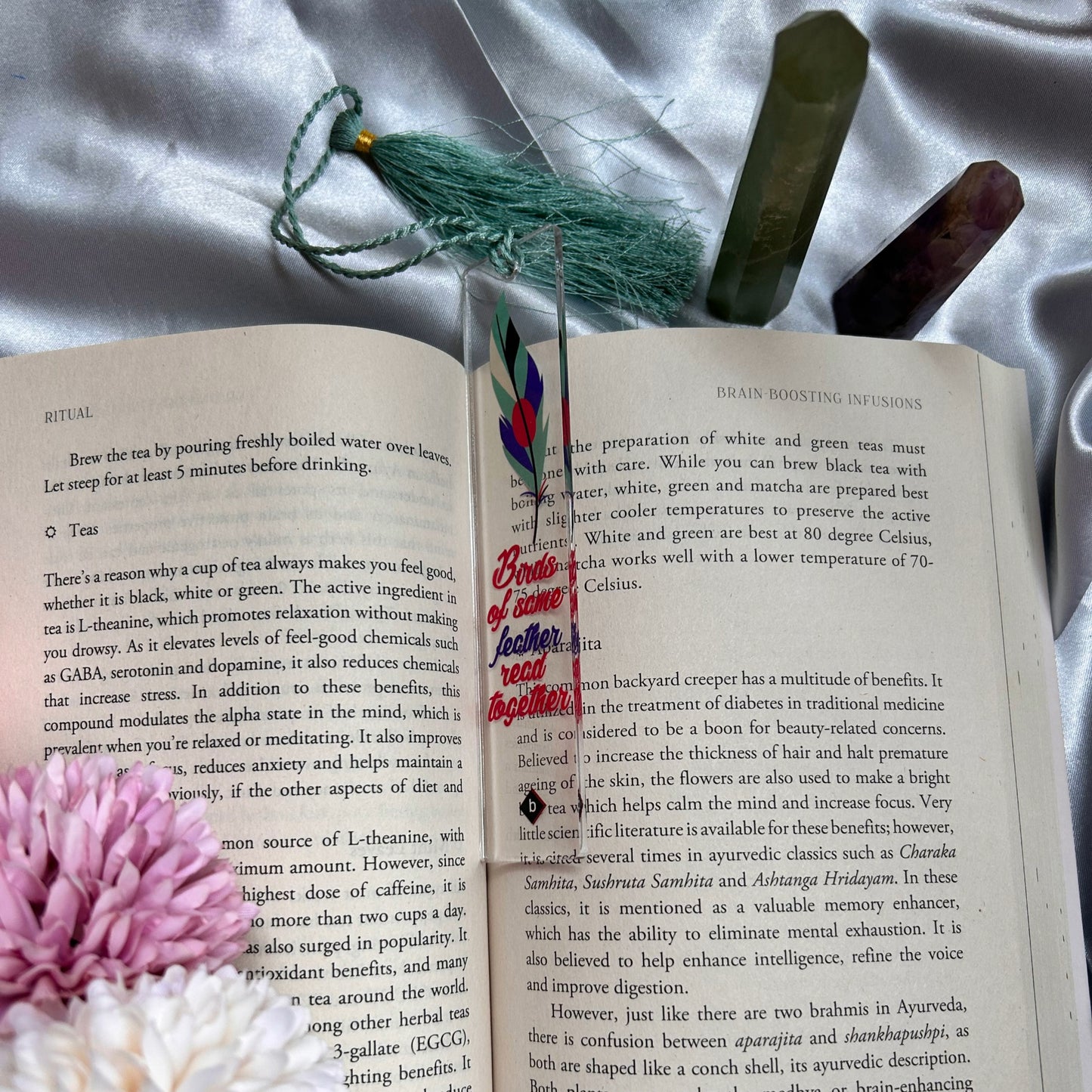 Birds of Same Feather Read Together - Acrylic Bookmark