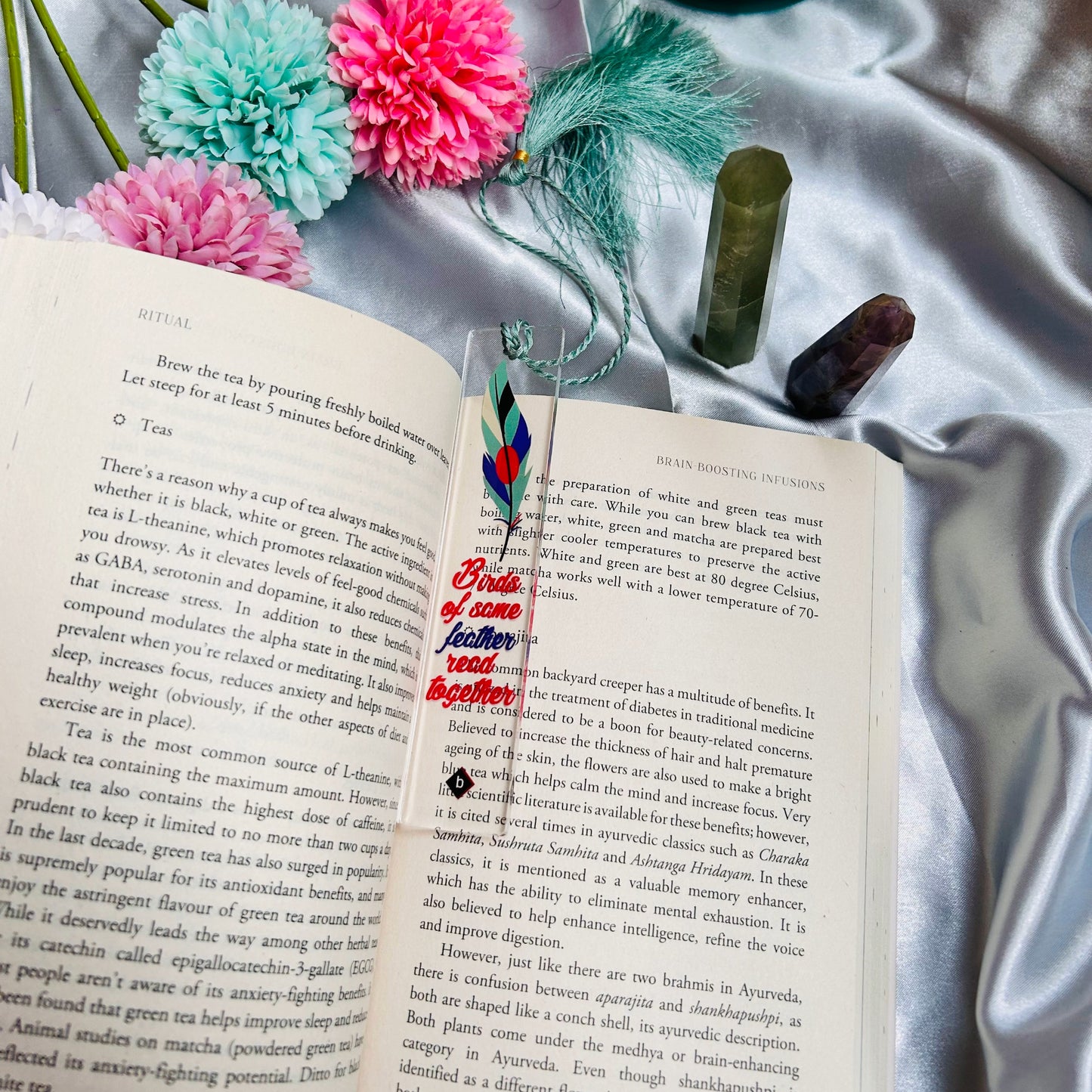 Birds of Same Feather Read Together - Acrylic Bookmark